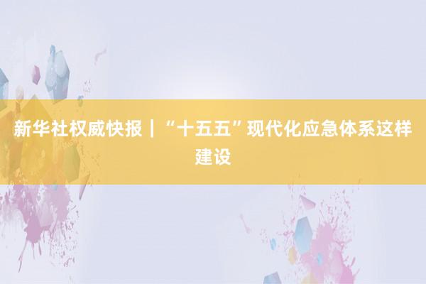 新华社权威快报｜“十五五”现代化应急体系这样建设