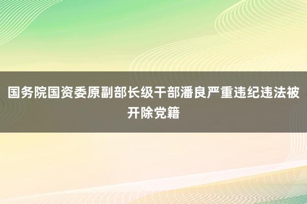 国务院国资委原副部长级干部潘良严重违纪违法被开除党籍