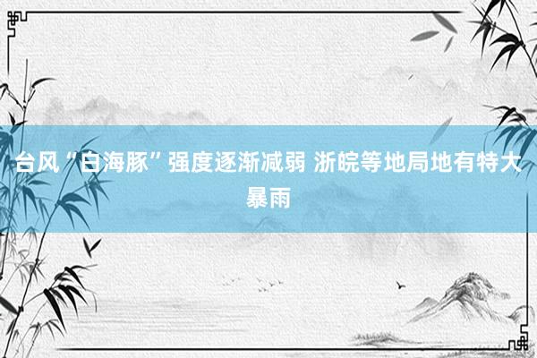 台风“白海豚”强度逐渐减弱 浙皖等地局地有特大暴雨