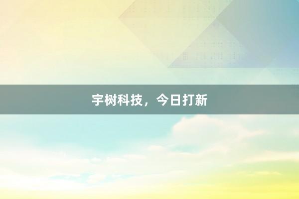 宇树科技，今日打新