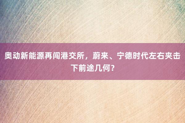 奥动新能源再闯港交所，蔚来、宁德时代左右夹击下前途几何？