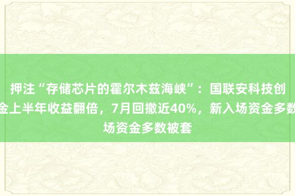 押注“存储芯片的霍尔木兹海峡”：国联安科技创新基金上半年收益翻倍，7月回撤近40%，新入场资金多数被套