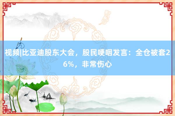 视频|比亚迪股东大会，股民哽咽发言：全仓被套26%，非常伤心