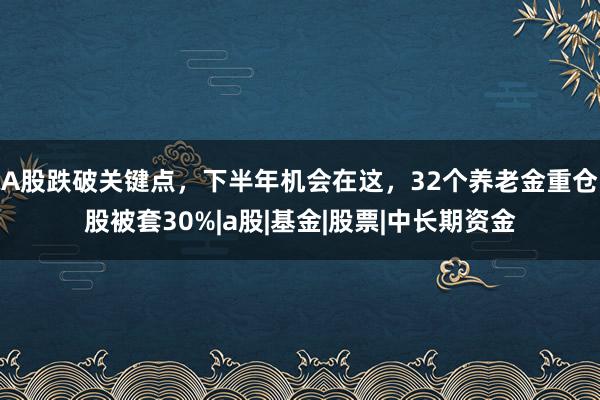 A股跌破关键点，下半年机会在这，32个养老金重仓股被套30%|a股|基金|股票|中长期资金
