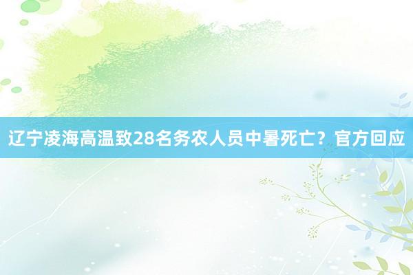 辽宁凌海高温致28名务农人员中暑死亡？官方回应