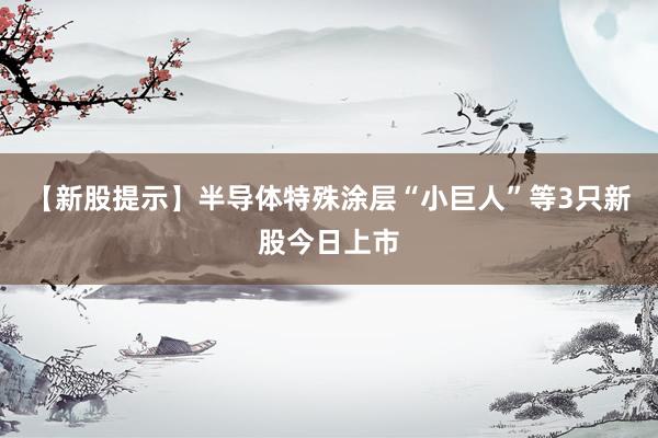 【新股提示】半导体特殊涂层“小巨人”等3只新股今日上市