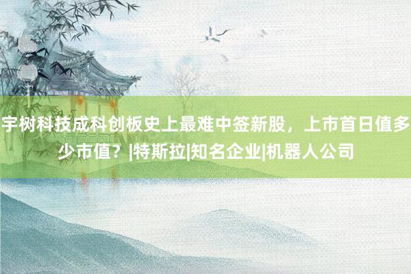 宇树科技成科创板史上最难中签新股，上市首日值多少市值？|特斯拉|知名企业|机器人公司