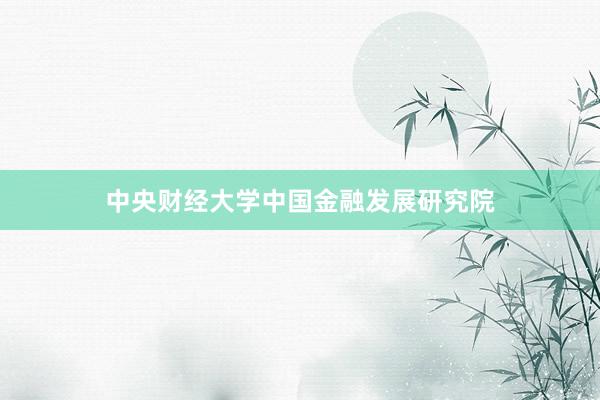 中央财经大学中国金融发展研究院