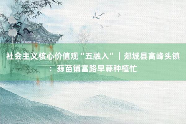 社会主义核心价值观“五融入”|郯城县高峰头镇:蒜苗铺富路 早蒜种植忙