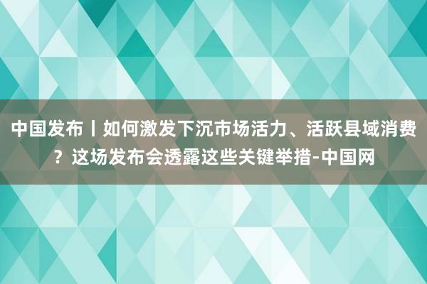中国发布丨如何激发下沉市场活力、活跃县域消费？这场发布会透露这些关键举措-中国网