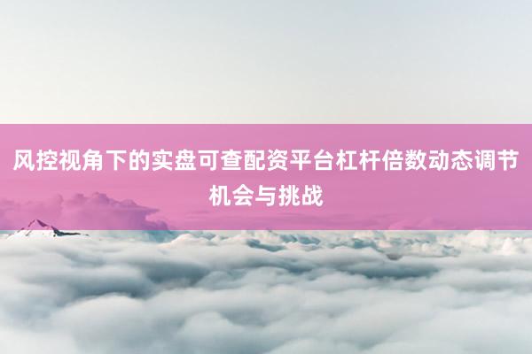 风控视角下的实盘可查配资平台杠杆倍数动态调节机会与挑战