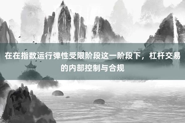 在在指数运行弹性受限阶段这一阶段下，杠杆交易的内部控制与合规