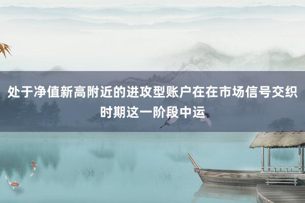 处于净值新高附近的进攻型账户在在市场信号交织时期这一阶段中运