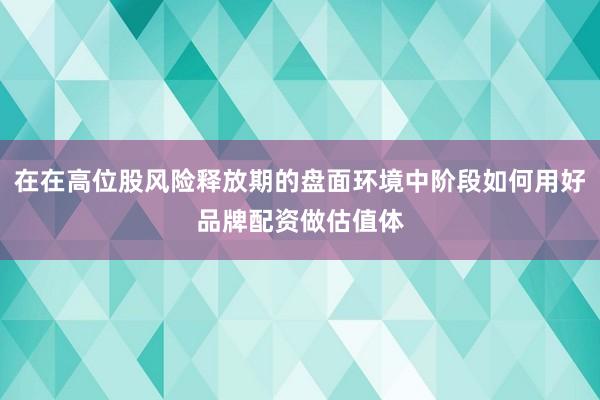 在在高位股风险释放期的盘面环境中阶段如何用好品牌配资做估值体