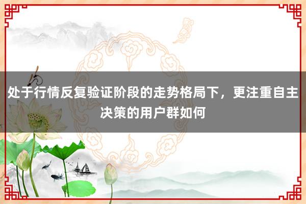 处于行情反复验证阶段的走势格局下，更注重自主决策的用户群如何