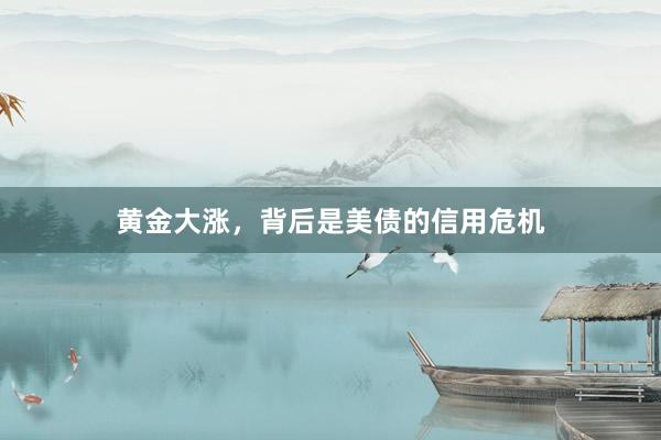 黄金大涨，背后是美债的信用危机