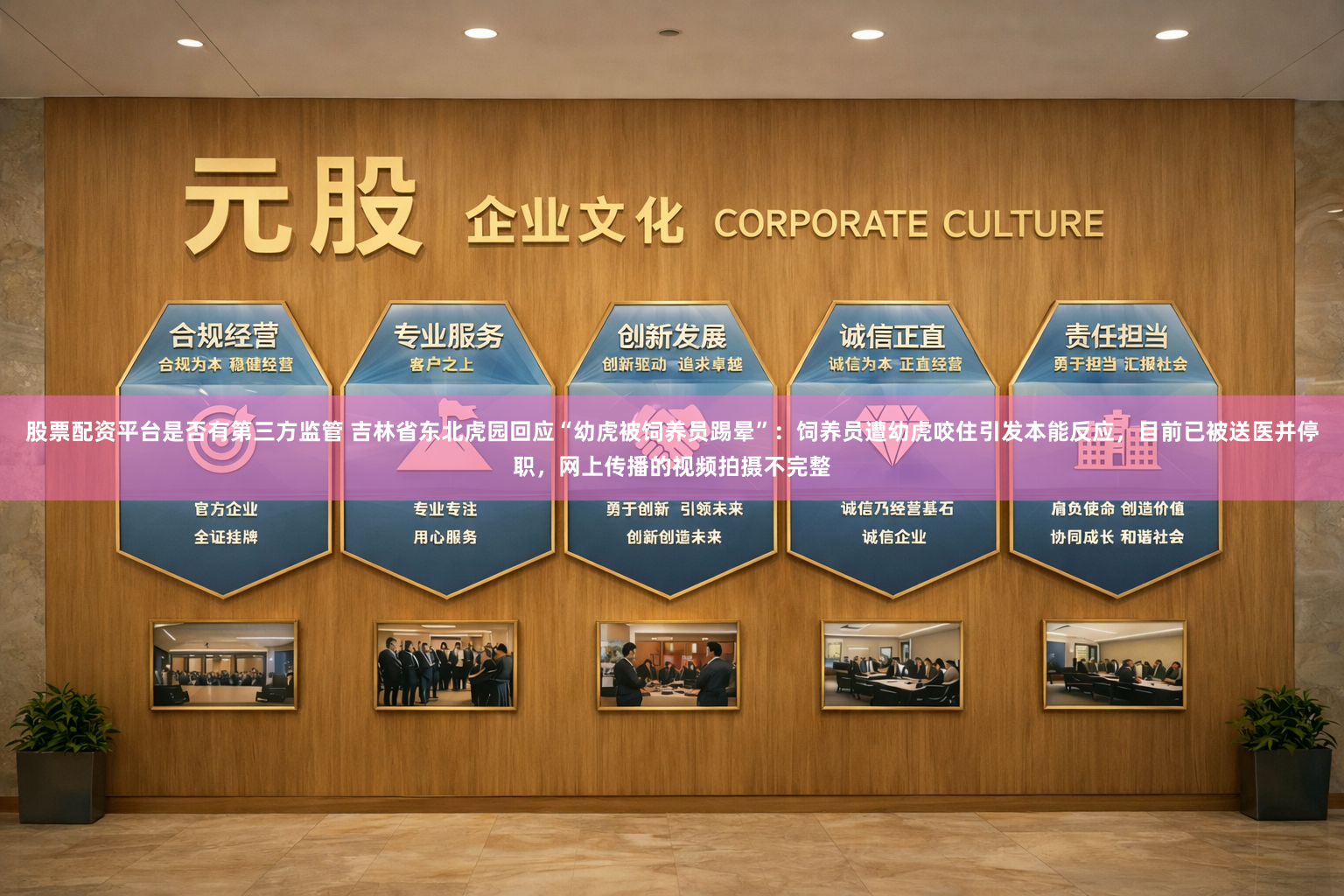 股票配资平台是否有第三方监管 吉林省东北虎园回应“幼虎被饲养员踢晕”：饲养员遭幼虎咬住引发本能反应，目前已被送医并停职，网上传播的视频拍摄不完整