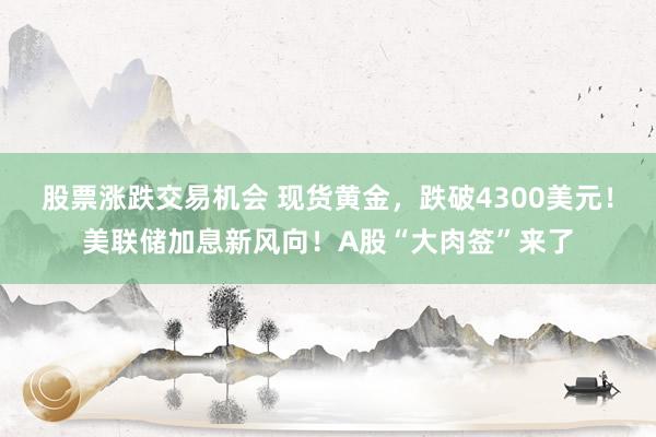 股票涨跌交易机会 现货黄金，跌破4300美元！美联储加息新风向！A股“大肉签”来了