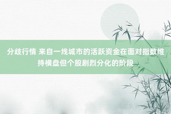 分歧行情 来自一线城市的活跃资金在面对指数维持横盘但个股剧烈分化的阶段