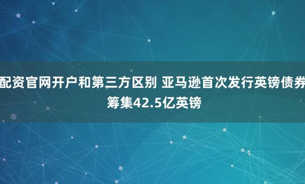 配资官网开户和第三方区别 亚马逊首次发行英镑债券 筹集42.5亿英镑