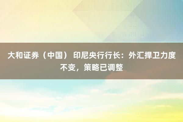 大和证券（中国） 印尼央行行长：外汇捍卫力度不变，策略已调整