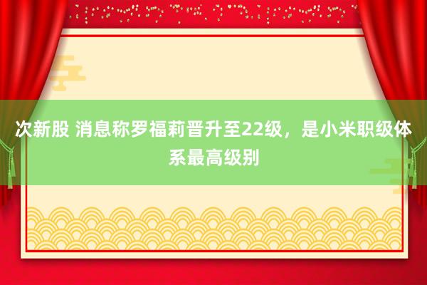 次新股 消息称罗福莉晋升至22级，是小米职级体系最高级别